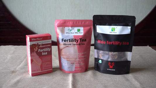 WinsTown Male Fertility Support Tea – Herbal Solution for Reproductive Vitality